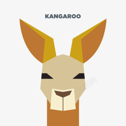 kangaroo袋鼠高清图片