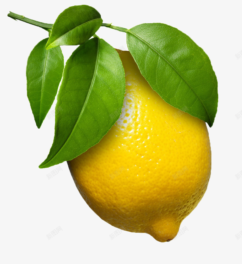 鲜嫩柠檬psd免抠素材_新图网 https://ixintu.com 多汁 多肉 鲜嫩 黄色