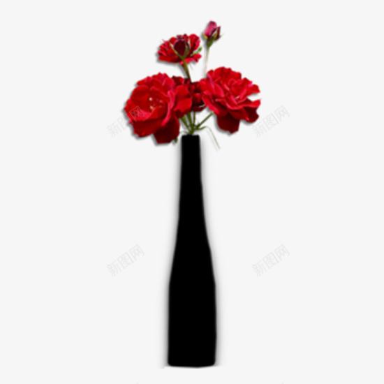 现代花瓶png免抠素材_新图网 https://ixintu.com 现代风格 花朵 花瓶