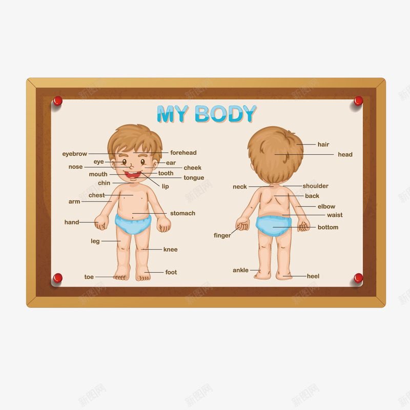 男孩身体png免抠素材_新图网 https://ixintu.com 娃娃 孩子 示意图 身体部位
