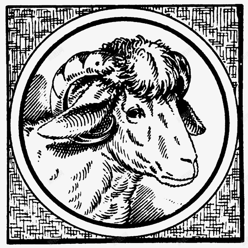 绵羊头像png免抠素材_新图网 https://ixintu.com 动物头像 方框图 线稿 绵羊