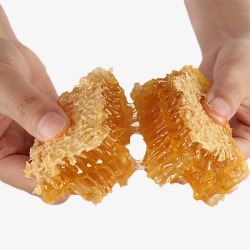 手掰蜂蜜素材