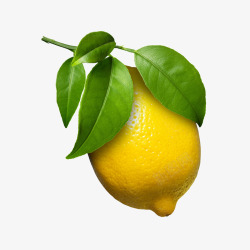 新鲜实物柠檬素材