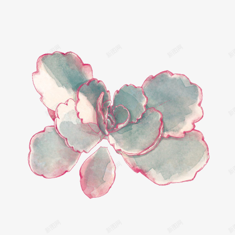 植物png免抠素材_新图网 https://ixintu.com 多肉 多肉植物 植物 盆栽 绿色 花 花盘 装饰