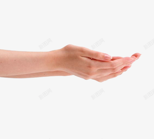 双手承接样式的手png免抠素材_新图网 https://ixintu.com 人物 双手 实物 手指方向 接着 高清