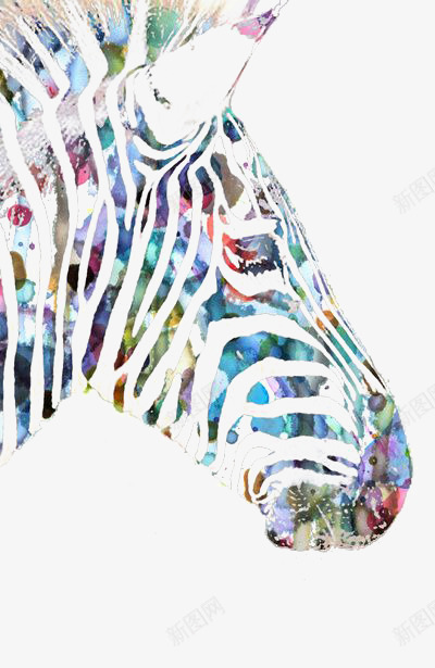 斑马png免抠素材_新图网 https://ixintu.com 动物 手绘斑马 斑马头像 水彩斑马