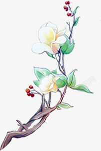 白色花卉花枝中国风手绘素材