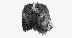 简约黑白牦牛头像素材