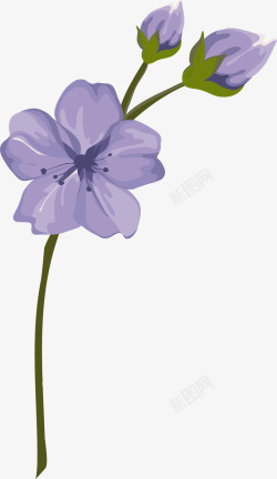 紫色手绘花枝素材