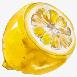 黄柠檬特写水彩画矢量图素材