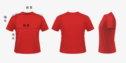 T恤尺寸说明红色T恤测量图高清图片