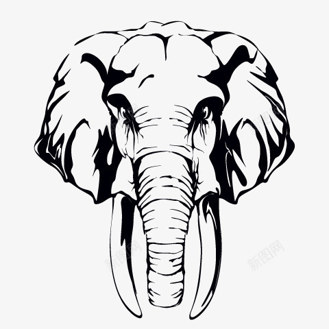 大象头像png免抠素材_新图网 https://ixintu.com 大象头像 手绘 简图 线条