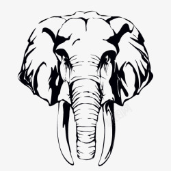 大象头像素材