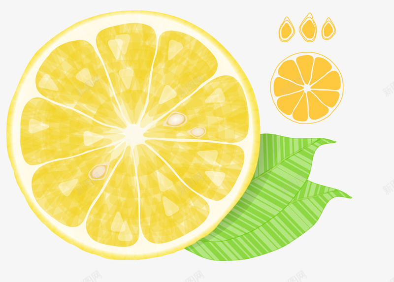 手绘柠檬2个柠檬矢量图ai免抠素材_新图网 https://ixintu.com 手绘 柠檬 矢量图