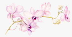 粉色手绘花枝装饰素材