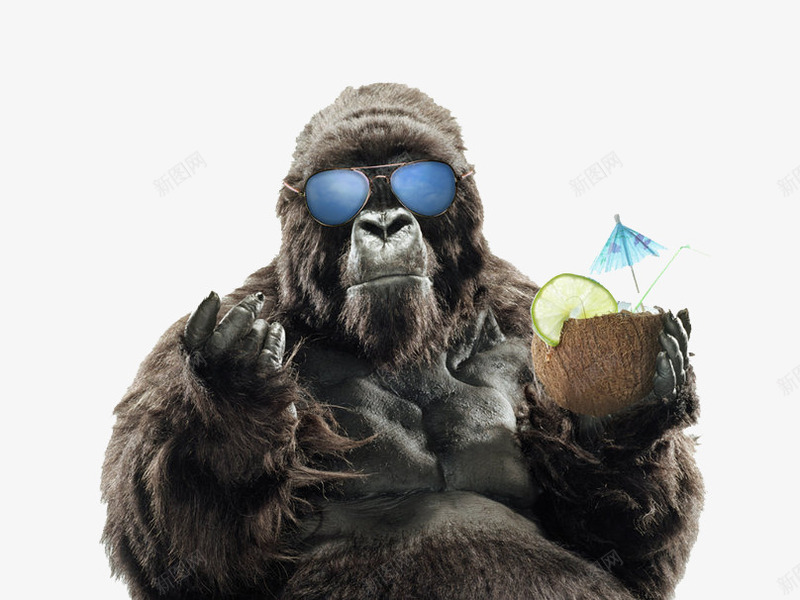 大猩猩夏日度假图png免抠素材_新图网 https://ixintu.com 大猩猩 大猩猩度假图片 戴眼镜的猩猩 猩猩度假
