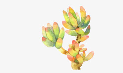 网页多肉水彩画多肉植物高清图片