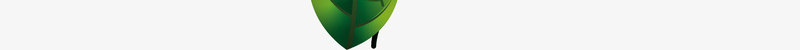 精致绿色植物边框矢量图eps免抠素材_新图网 https://ixintu.com 夏日派对 植物边框 派对边框 热带植物 矢量png 精致边框 矢量图