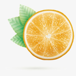 水果橘子矢量图素材