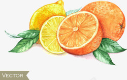 手绘橙子和柠檬矢量图素材
