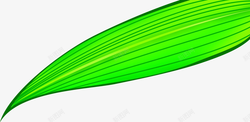 绿色粽子叶端午png免抠素材_新图网 https://ixintu.com 端午 粽子 绿色