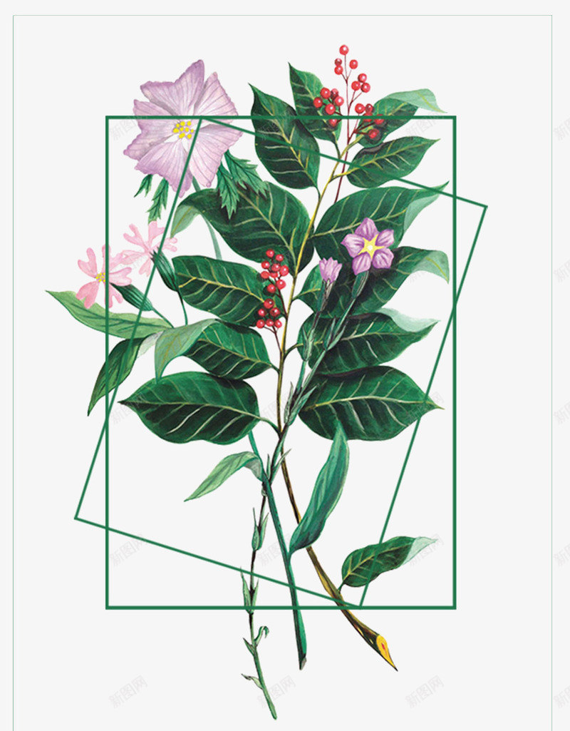 花枝png免抠素材_新图网 https://ixintu.com 框架 花卉 花枝