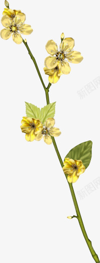 黄色花朵花枝绿叶png免抠素材_新图网 https://ixintu.com 绿叶 花朵 花枝 黄色