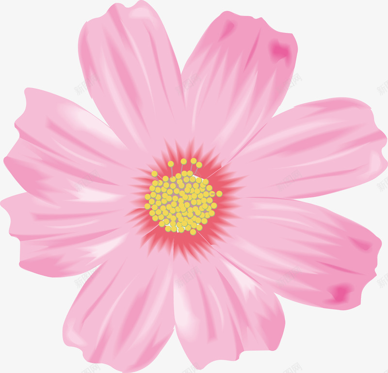 一朵盛开的粉色花朵图png免抠素材_新图网 https://ixintu.com 彩绘 植物 花 花卉 花朵 花束 花枝 花骨朵 鲜花