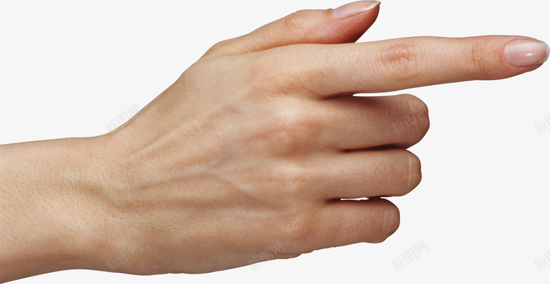 指向前方的手指png免抠素材_新图网 https://ixintu.com PNG 手指 手臂 方向