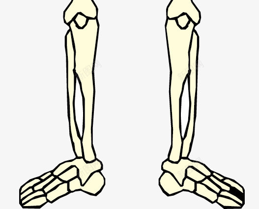 人体骷髅矢量图ai免抠素材_新图网 https://ixintu.com 医院 效果 框架 解刨 矢量图
