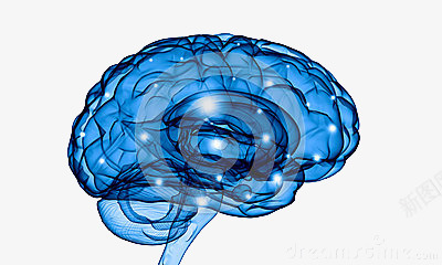 蓝色大脑png免抠素材_新图网 https://ixintu.com 医疗 医院 器官 大脑 蓝色
