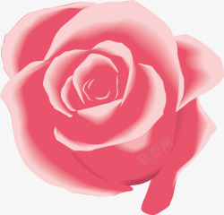 粉色卡通玫瑰花素材