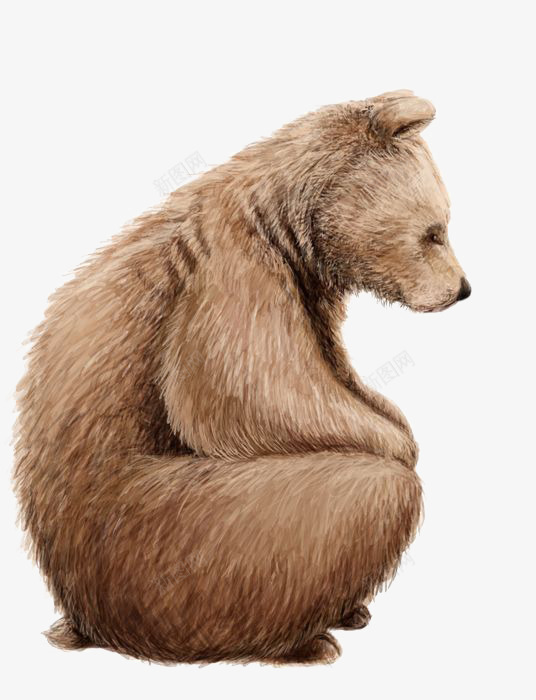 棕熊png免抠素材_新图网 https://ixintu.com 动物 可爱熊 手绘棕熊 熊 熊宝宝