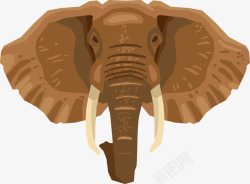 大象头像卡通可爱小动物装饰动物头像高清图片
