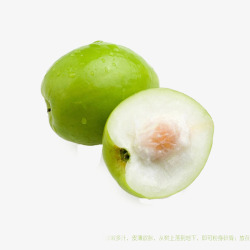 无污染水果产品实物大青枣高清图片