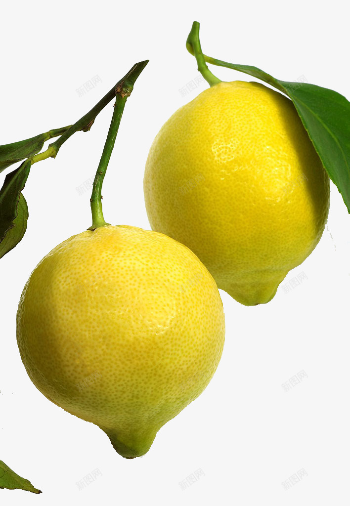 两颗柠檬png免抠素材_新图网 https://ixintu.com 产品实物 柠檬 水果 维生素C