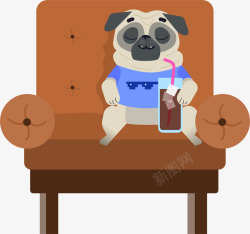 端着饮料的动物坐在沙发上的狗狗高清图片