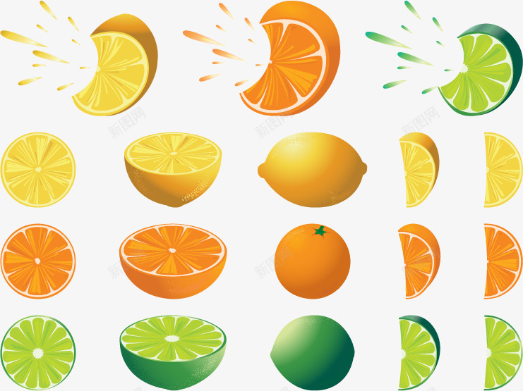 柑橘类水果合集矢量图ai免抠素材_新图网 https://ixintu.com 柠檬 橘子 橙子 水果 矢量图