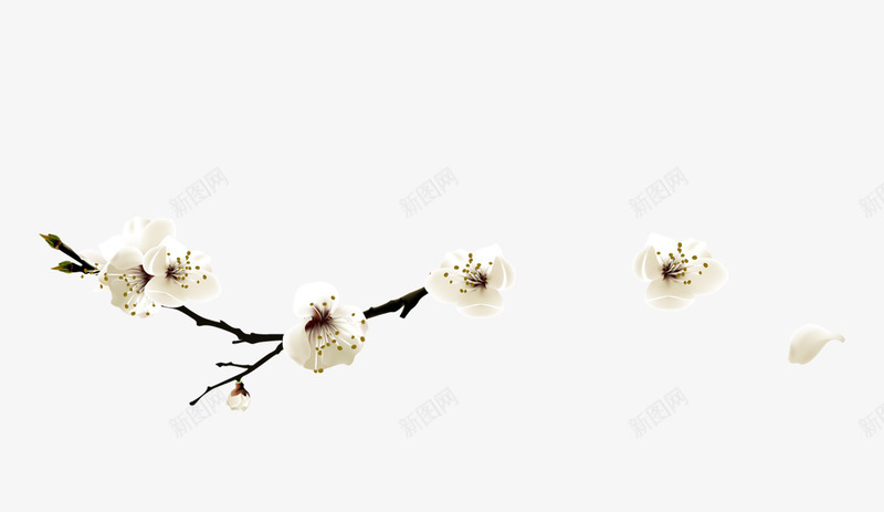 白色中国风花枝装饰图案png免抠素材_新图网 https://ixintu.com 中国风 免抠PNG 白色 花枝 装饰图案