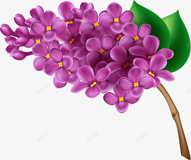紫色手绘花朵png免抠素材_新图网 https://ixintu.com 唯美 女装 紫色小花 花卉 花束 花枝