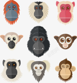 手绘大猩猩动物头像元素矢量图素材