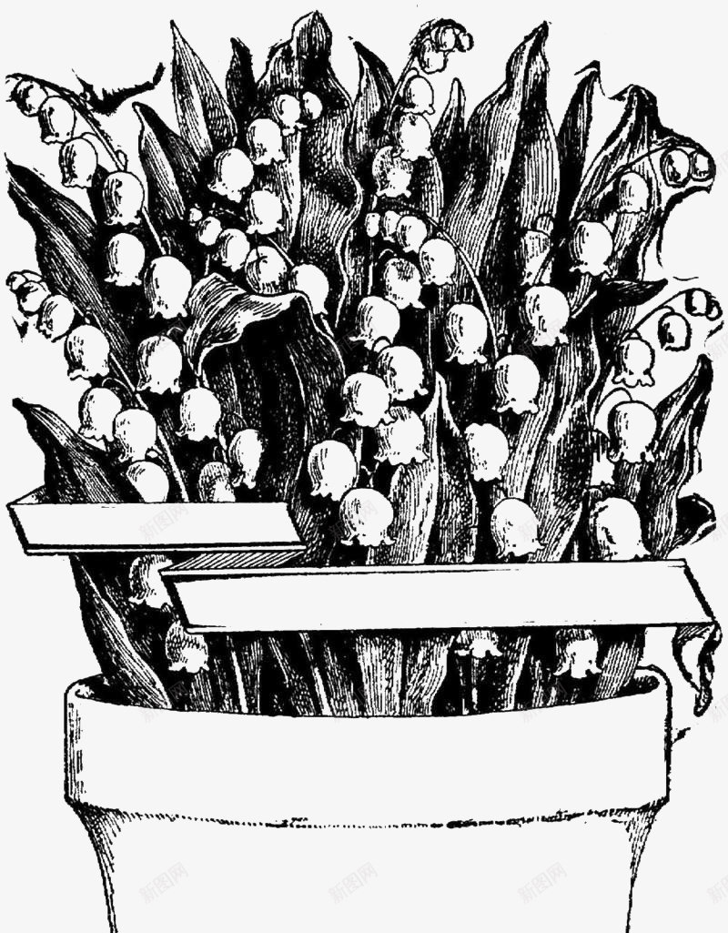 黑白花盆植物插图png免抠素材_新图网 https://ixintu.com 创意 插图 植物 现代 花瓶 边框