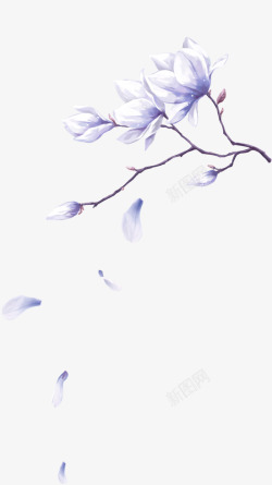 蓝色清新花枝装饰图案素材
