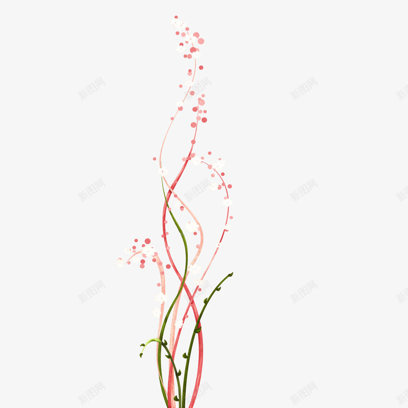 干花元素png免抠素材_新图网 https://ixintu.com 干花 花枝