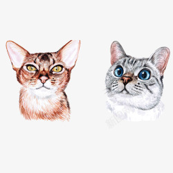 手绘水彩可爱猫咪头像素材