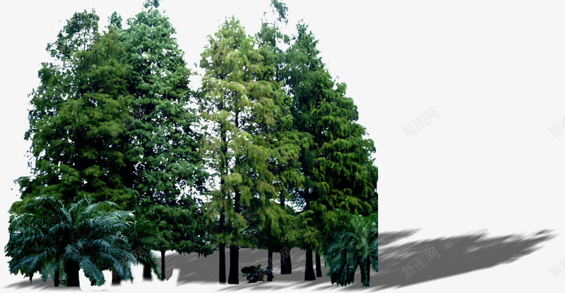 现代城市树林绿化png免抠素材_新图网 https://ixintu.com 城市 树林 现代 绿化