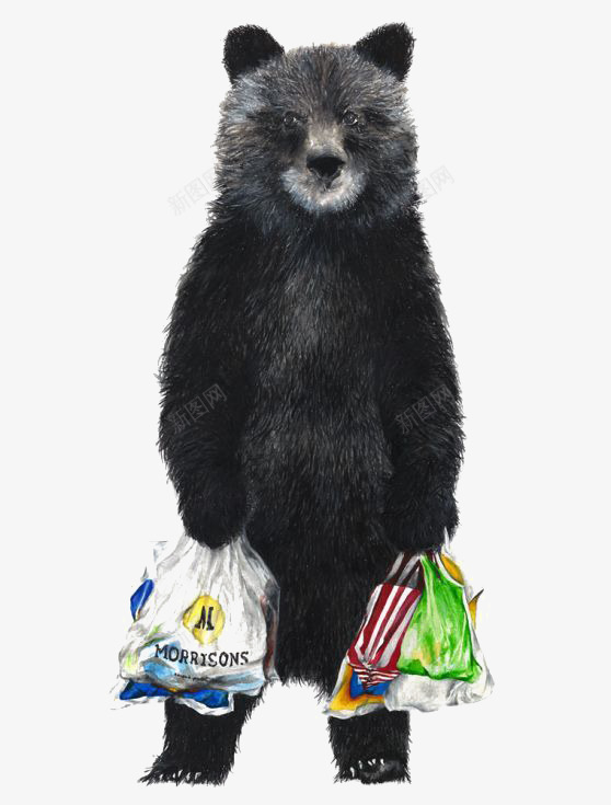去购物的熊png免抠素材_新图网 https://ixintu.com 动物 卡通 手绘 拟人 插画 购物 黑熊