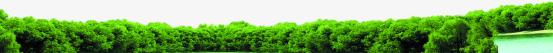 绿色森林样式医院宣传png免抠素材_新图网 https://ixintu.com 医院 宣传 样式 森林 绿色