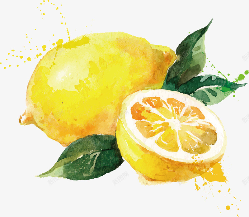 水果水彩柠檬png免抠素材_新图网 https://ixintu.com 柠檬 水彩 水果