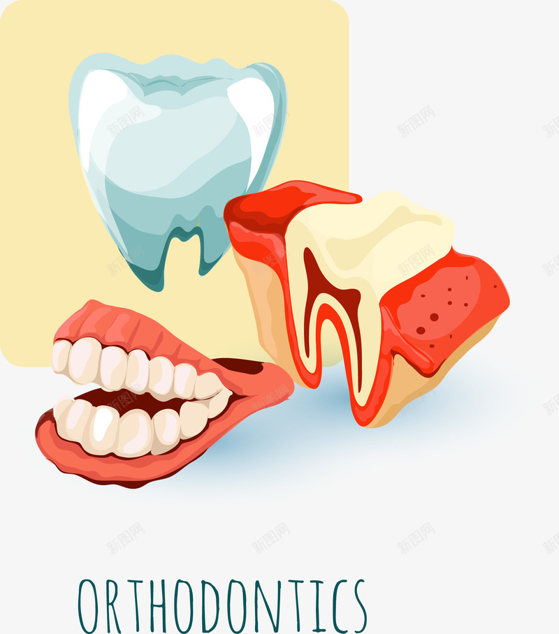 卡通牙齿图矢量图eps免抠素材_新图网 https://ixintu.com 医生 医疗 医疗设备 医院 检查 检测 牙齿 矢量图